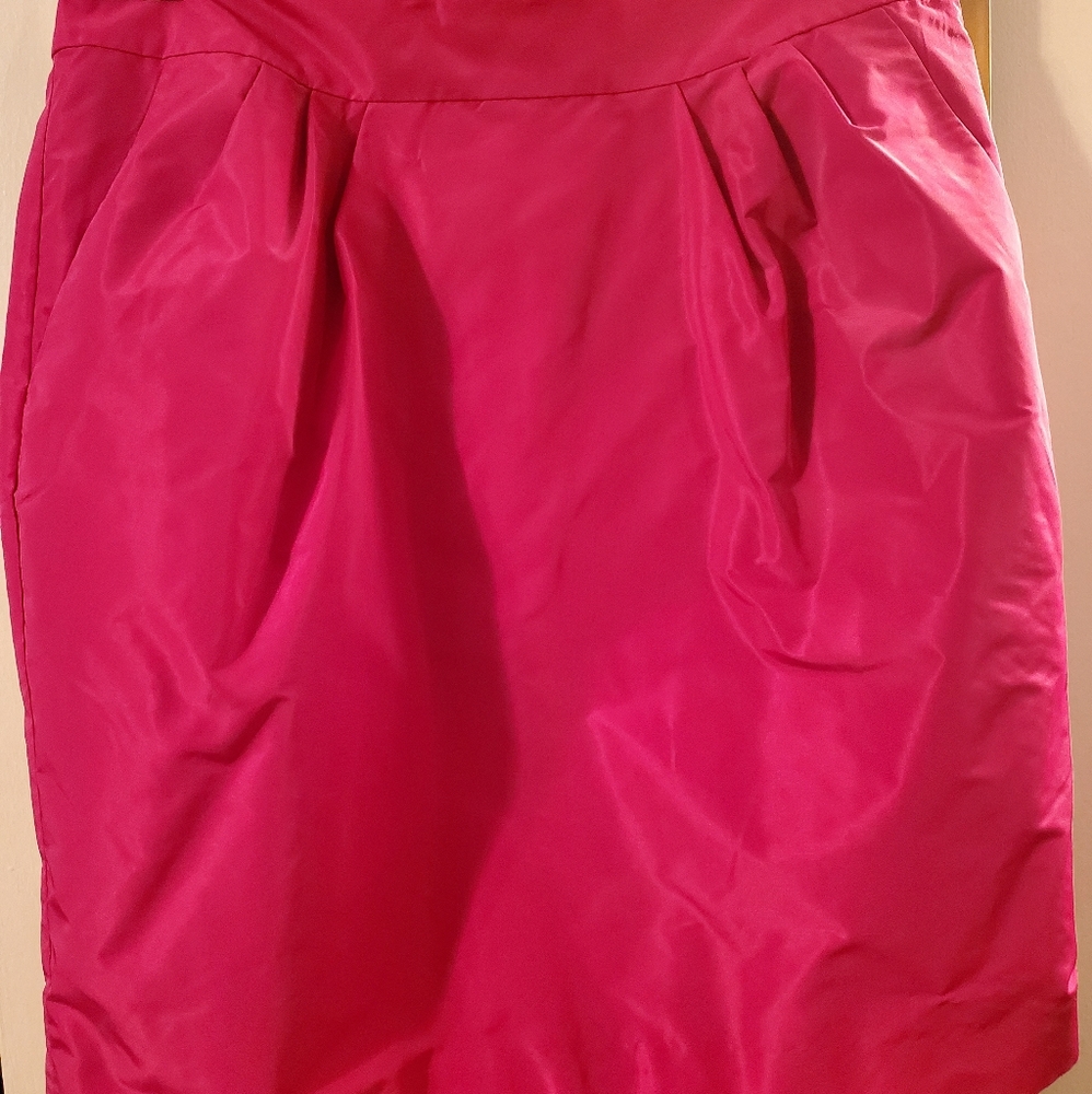 Banana Republic Mini Skirt
